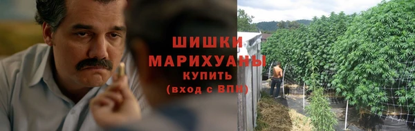 винт Каменка