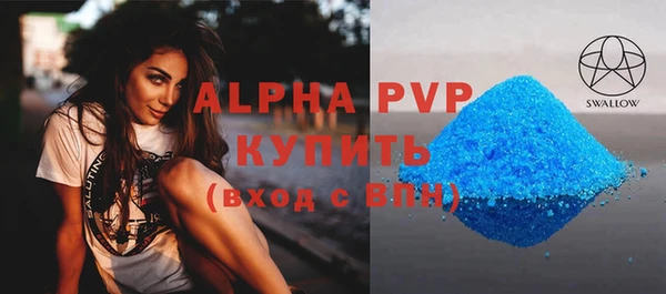 винт Каменка