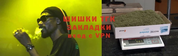 тгк Инсар
