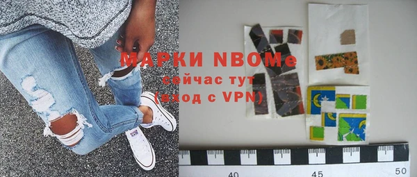 тгк Инсар