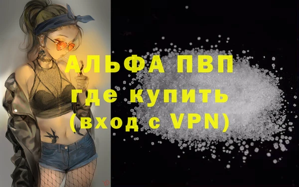 винт Каменка