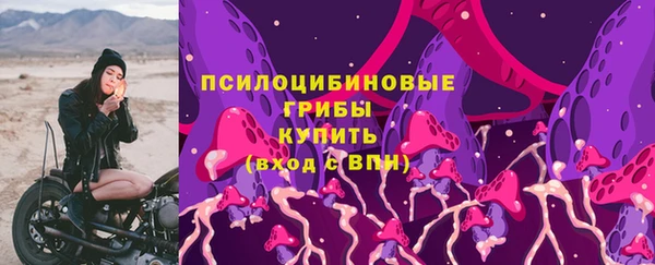 тгк Инсар