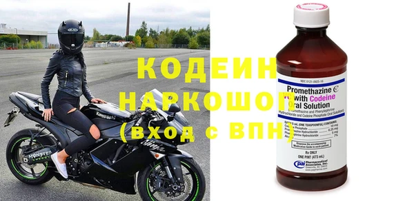 тгк Инсар