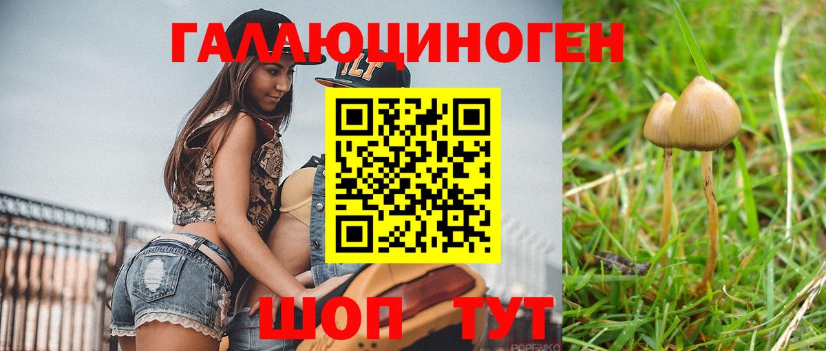 Галлюциногенные грибы Psilocybine cubensis Богородицк