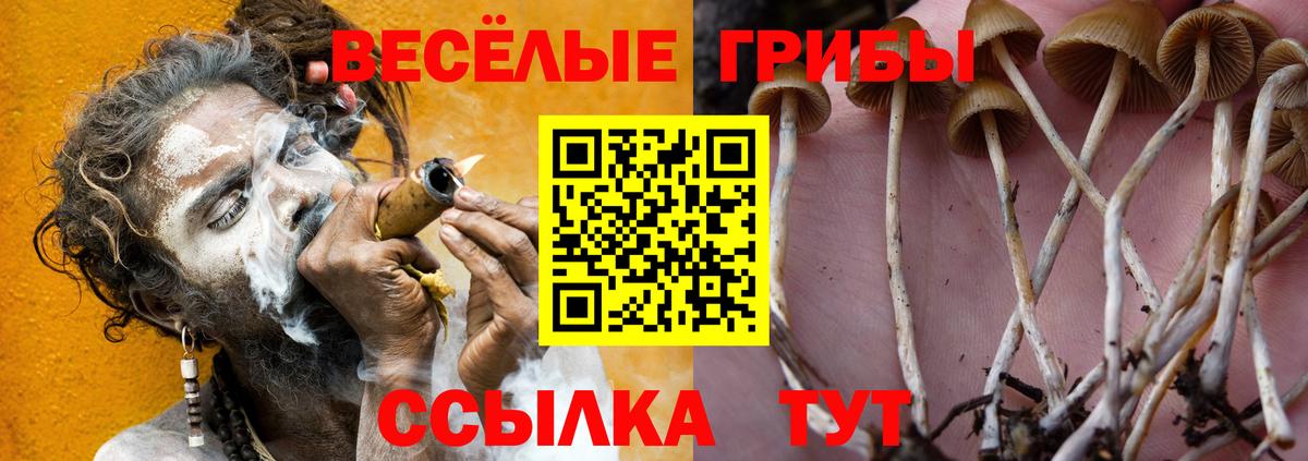 Псилоцибиновые грибы прущие грибы  Вход с VPN  продажа наркотиков  Богородицк  Псилоцибиновые грибы MAGIC MUSHROOMS 