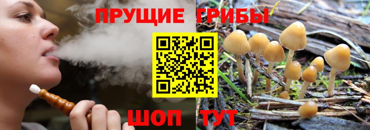 Псилоцибиновые грибы MAGIC MUSHROOMS  Богородицк 