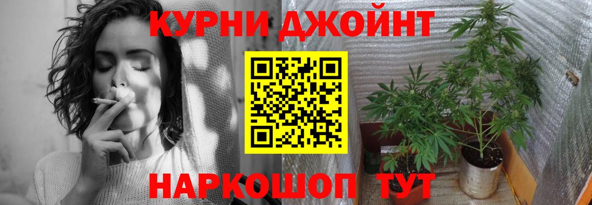 Канабис SATIVA & INDICA Богородицк
